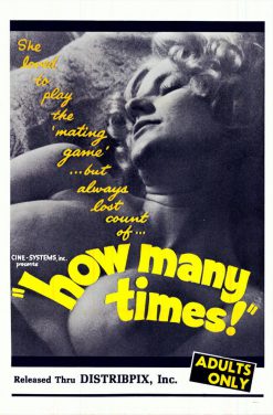How Many Times Poster