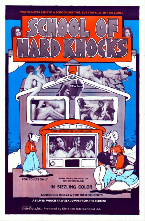 School of Hard Knocks Poster