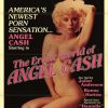 The Erotic World of Angel Cash Poster