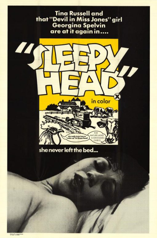 Sleepy Head Poster